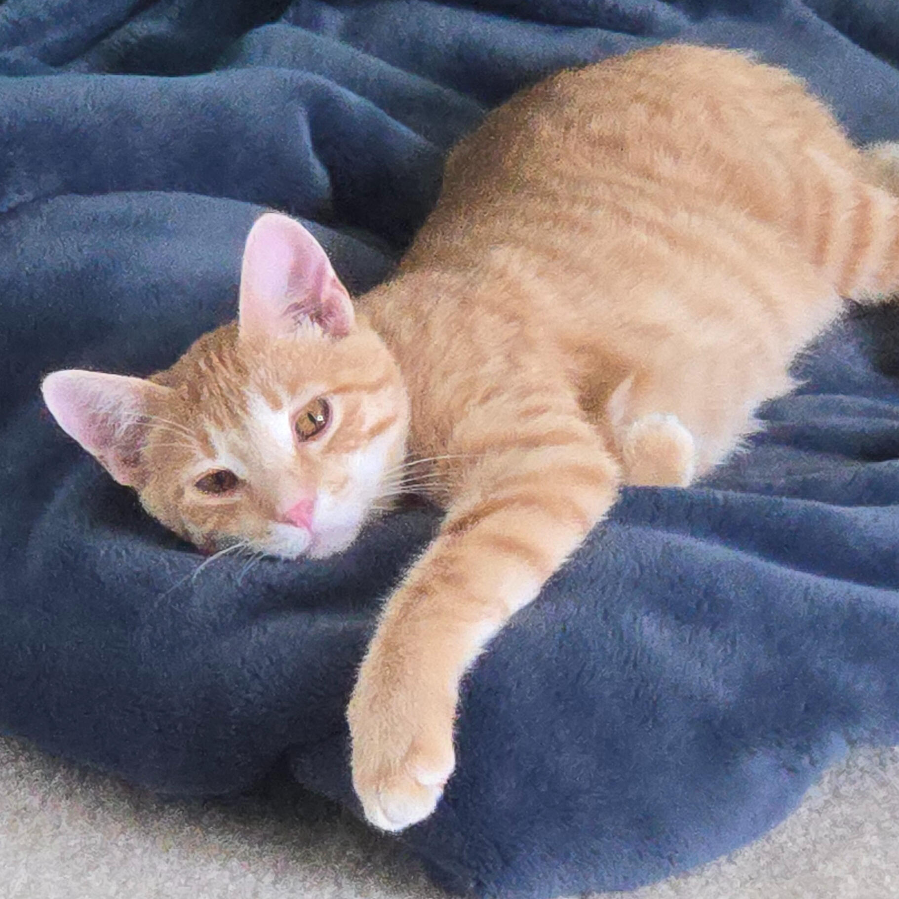 A woman sits with a white golden doodle in her lap and smiles.